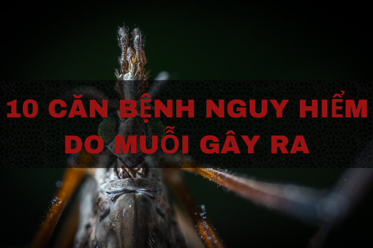 10 căn bệnh nguy hiểm do muỗi gây ra